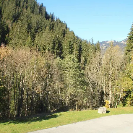 Appartement Chatel, 1 Piece, 3 Personnes - Fr-1-200-345 * Châtel